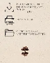 7.webp