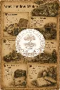 Santé, famille et réunion Lettre Ancienne.webp