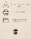 4.webp