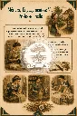 Metier engagement femme.webp