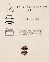 4.webp